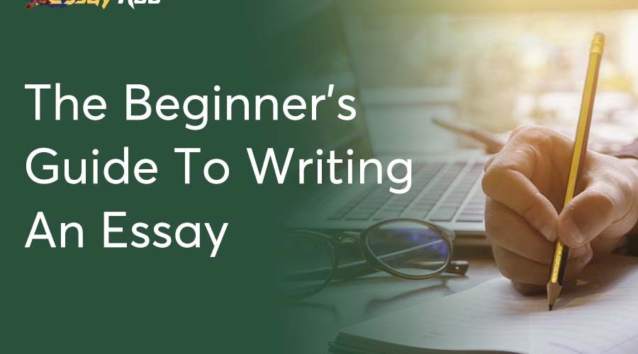 Essay: 9 Beginner's Guide to Writing an Essay with Steps