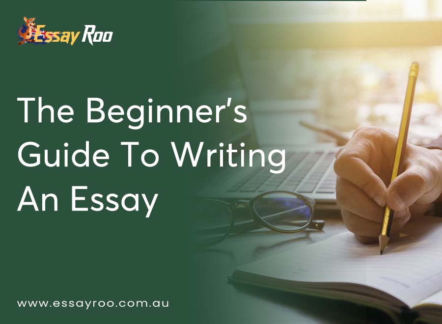 Essay: 9 Beginner's Guide to Writing an Essay with Steps