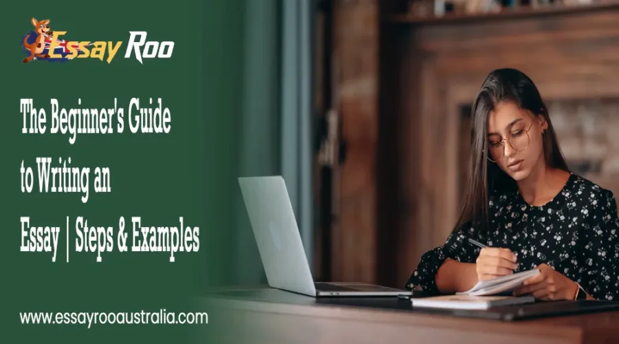 Essay: 9 Beginner's Guide to Writing an Essay with Steps