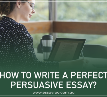 Persuasive Essay: 8 Ways to Write A Perfect Persuasive Essay