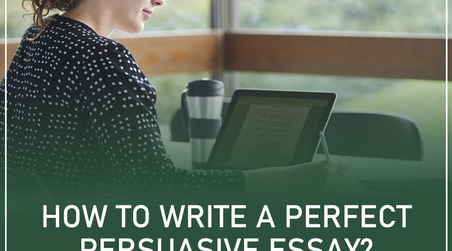 Persuasive Essay: 8 Ways to Write A Perfect Persuasive Essay