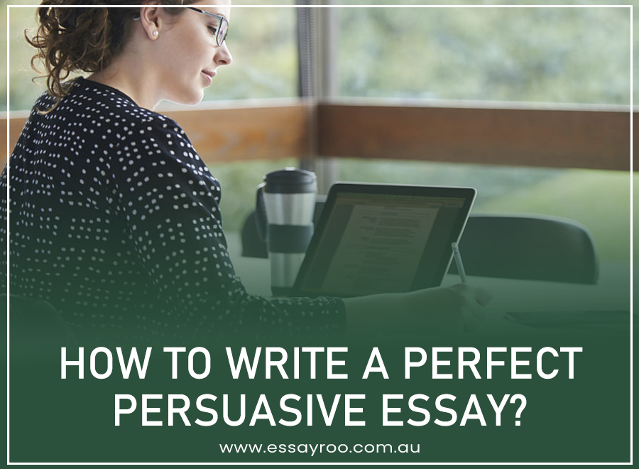 Persuasive Essay: 8 Ways to Write A Perfect Persuasive Essay