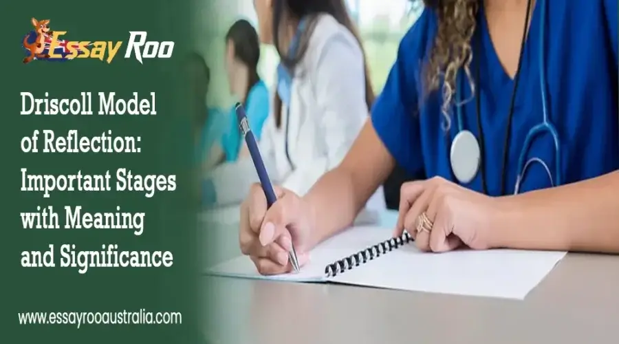 Driscoll Model of Reflection: 3 Stages and Significance
