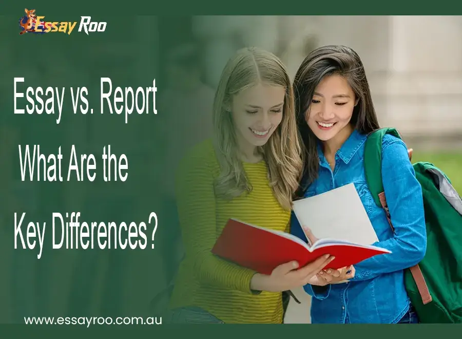 Essay vs. Report: the 5 Key Differences